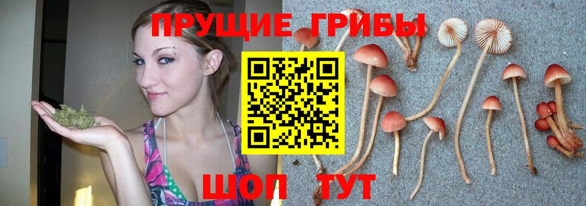 Ливны  Псилоцибиновые грибы Magic Shrooms  Галлюциногенные грибы Magic Shrooms  Вход с VPN 