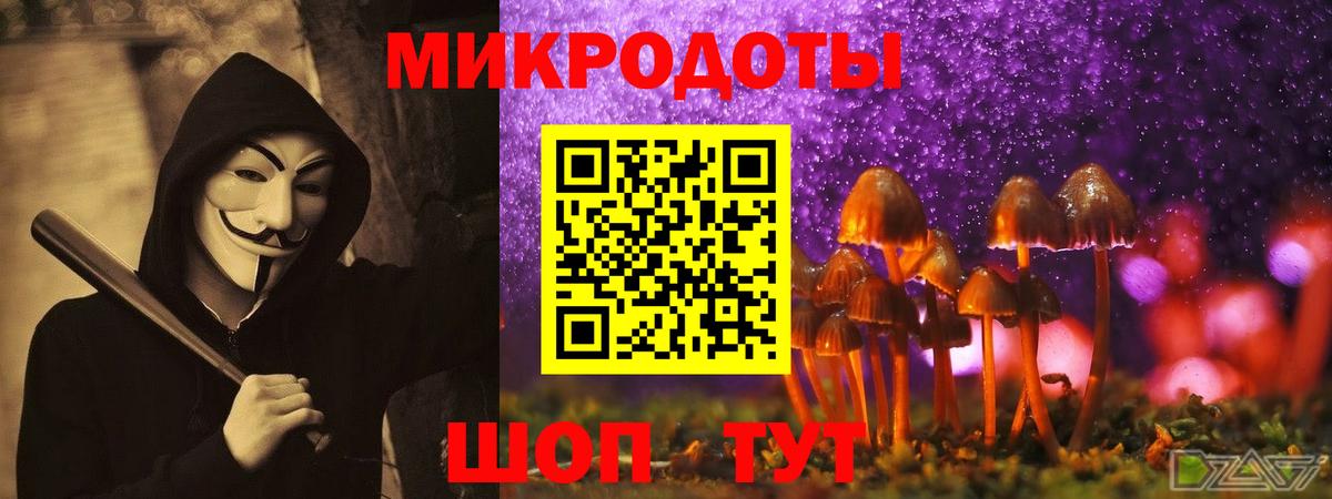 Псилоцибиновые грибы Psilocybine cubensis Ливны